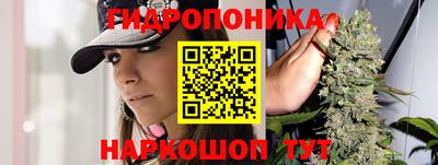 Альфа ПВП Балаково
