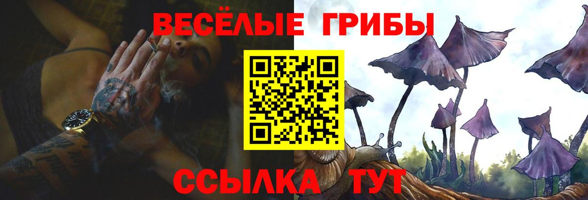 Псилоцибиновые грибы Cubensis Батайск