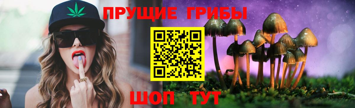Батайск  Псилоцибиновые грибы ЛСД  Вход с VPN  Псилоцибиновые грибы прущие грибы 